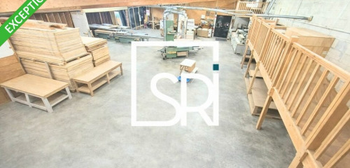 1re photo de l'annonce