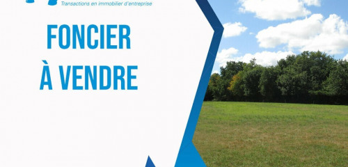 1re photo de l'annonce