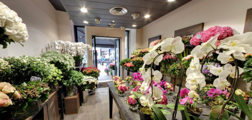 1re photo de l'annonce