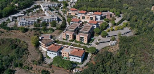 2e photo de l'annonce