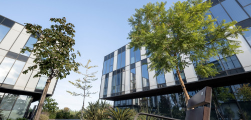 1re photo de l'annonce