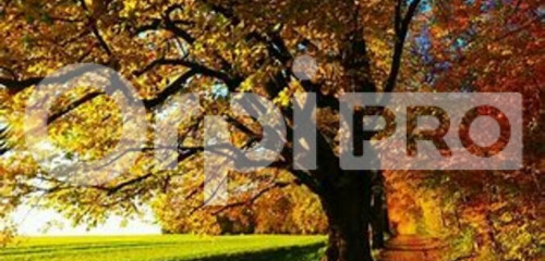 1re photo de l'annonce