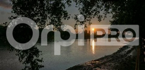 2e photo de l'annonce