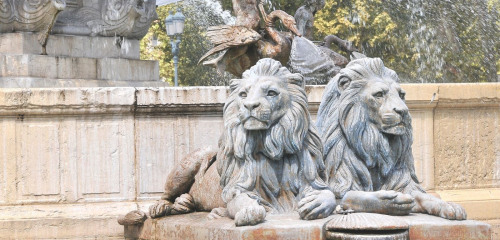 2e photo de l'annonce