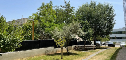 5e photo de l'annonce