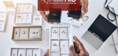 1re photo de l'annonce