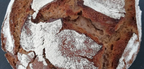 1re photo de l'annonce