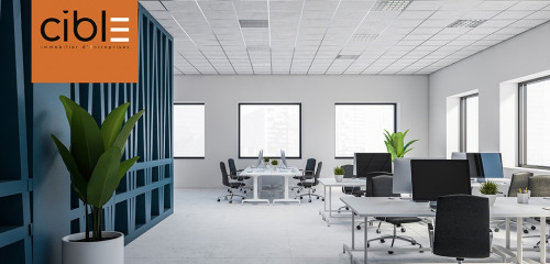 1re photo de l'annonce