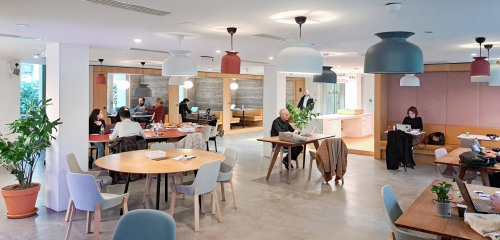 2e photo de l'annonce