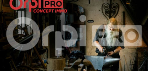 4e photo de l'annonce