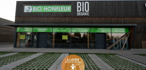 4e photo de l'annonce