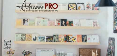 1re photo de l'annonce