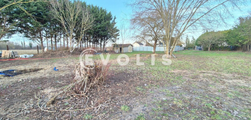 2e photo de l'annonce