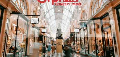 5e photo de l'annonce