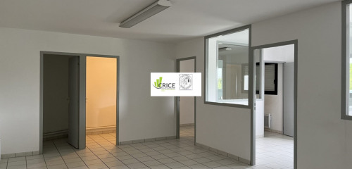 4e photo de l'annonce