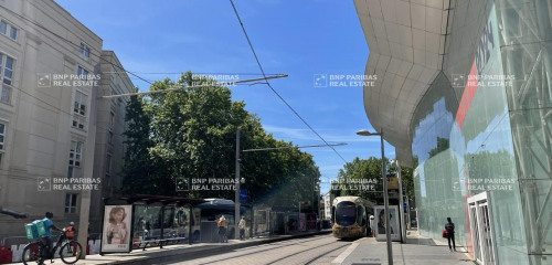 5e photo de l'annonce