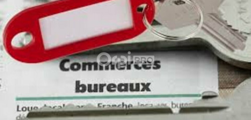 2e photo de l'annonce