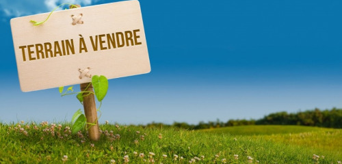 1re photo de l'annonce