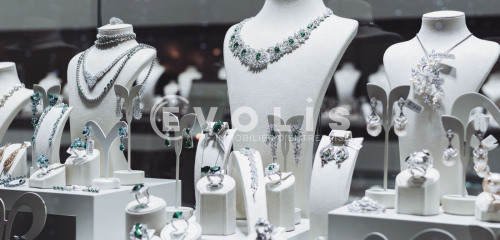 1re photo de l'annonce