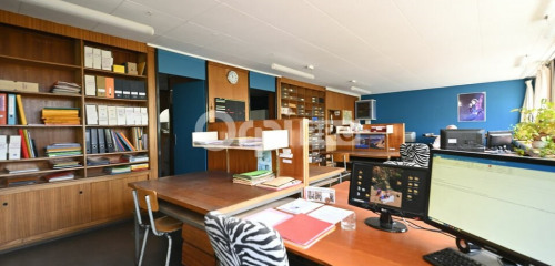 5e photo de l'annonce