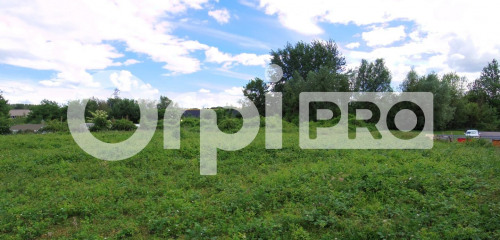 2e photo de l'annonce