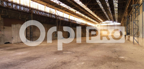 4e photo de l'annonce