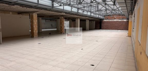 1re photo de l'annonce