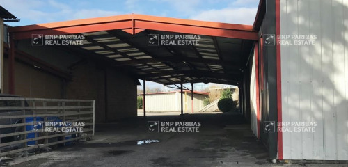 5e photo de l'annonce