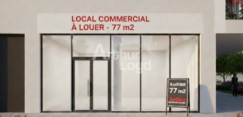 1re photo de l'annonce