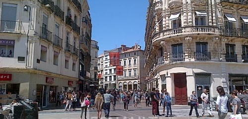 1re photo de l'annonce