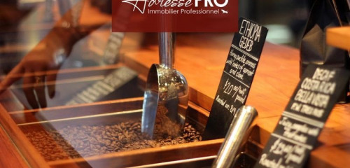 1re photo de l'annonce