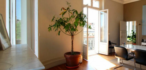 5e photo de l'annonce