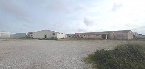 2e photo de l'annonce