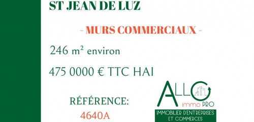 1re photo de l'annonce