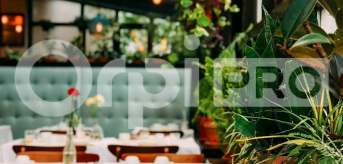 1re photo de l'annonce