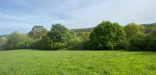 1re photo de l'annonce