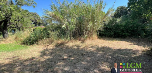 5e photo de l'annonce