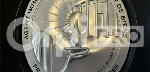 5e photo de l'annonce