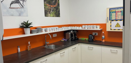 2e photo de l'annonce