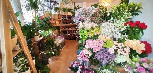 2e photo de l'annonce