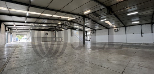 1re photo de l'annonce