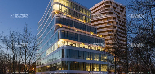 2e photo de l'annonce