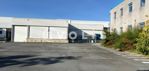 1re photo de l'annonce