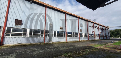 5e photo de l'annonce