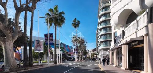 3e photo de l'annonce