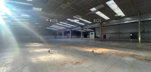 5e photo de l'annonce