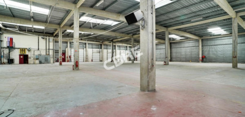 2e photo de l'annonce