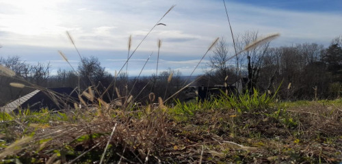 1re photo de l'annonce