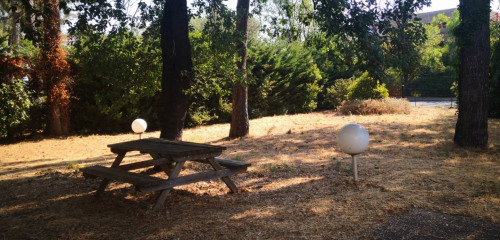 2e photo de l'annonce