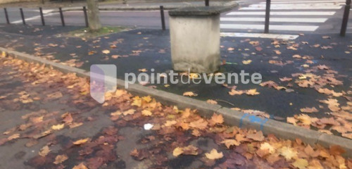 2e photo de l'annonce